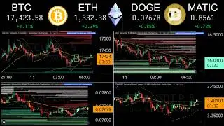 Day 61 Crypto Bull Market Recap