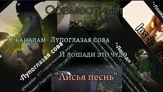 Совместный клип с 