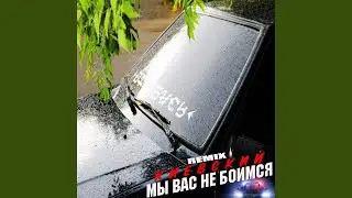 Мы вас не боимся (Remix)