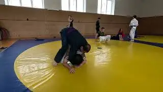 Красивый забор спины из черепахи)) #bjj