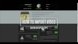 How to fix Reaper errors when importing video