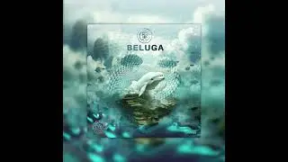 GOVERNMENT DENIES KNOWLEDGE - Beluga