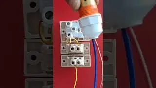 1 socket 2 switch connection || @electricsciencetrickshort