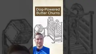 The Dog powered butter churns of the 19th century.