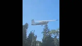 Cessna 150 села на деревья