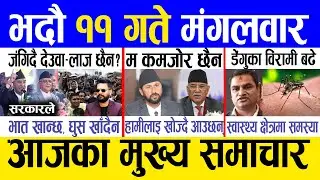 Today news 🔴 nepali news | aaja ka mukhya samachar, nepali samachar live | Bhadau 11 gate 2081