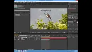 Basic Motion Tracking tutorial (Adobe After Effects CS6)