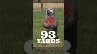 Pesky Gopher at 93 Yards! 3D Archery