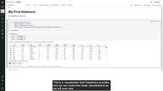 Databricks | Notebook Development Overview