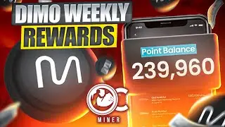 DIMO Weekly Reward Payouts for February 19, 2024