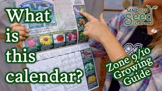 Zone 9 & 10 Farming Calendar | Succession Planting, Weather Patters & More