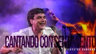 Cantando con sentimiento, Silvestre Dangond (En Vivo)