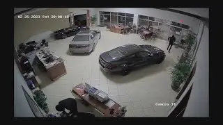 Thieves steal $100K BMW, luxury cars from dealership showroom!