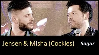 Jensen & Misha (Cockles) - Sugar (Jibcon 2019)