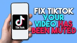 How To Fix TikTok Your Video Has Been Muted | Fix TikTok Muted Video