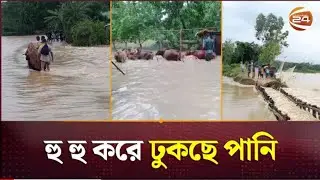 মৌলভীবাজার জেলার কমলগঞ্জ থানার ৯ নং ইসলামপুর কোরমা ঘাট চেকপোস্টে প্রচুর পরিমাণে বন্যা #bonna #viral