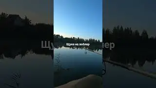 лучший воблер на щуку