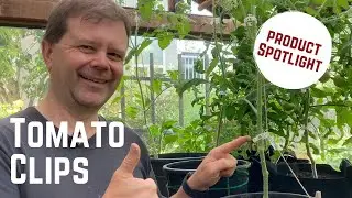 Best way to support your tomato plants | Product Spotlight