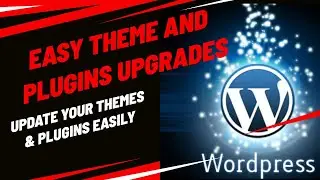 Easy Theme And Plugin Upgrades Quickly