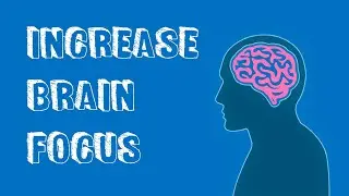 Top 10 Ways To Train Your Brain To Stay Focused and Productive