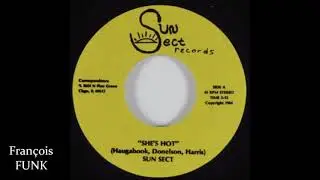 Sun Sect - She's Hot (1984)