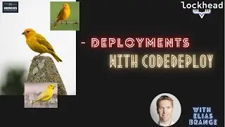 How birds and deployments come together in 