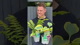 Transform your garden using @gardenwithjonny’s top tips! 🌱🦋🌺 #DIYtips #Howto #BandQ