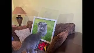 Cat vs Own Painting