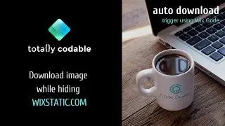 Trigger Auto Download for Image on Wix while hiding wixstatic.com