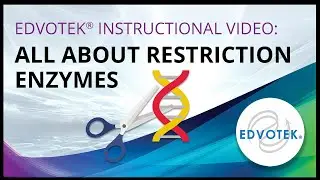 Edvotek Instructional Video: All About Restriction Enzymes