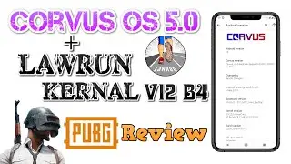 Corvus OS 5.0 Poco F1 || PUBG Review