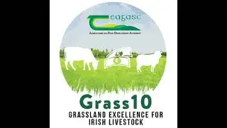 Your weekly Grass10 update with tips to achieving adequate grass supply