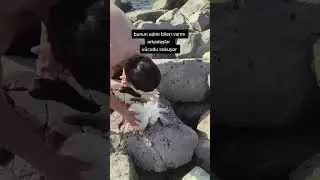 NEVER Pick up A Jellyfish! 