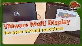 VMware Workstation and Vmware Player: Use multiple monitors