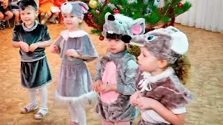 New Year's morning performance in the Garden 2016-2017 (video for development of children)