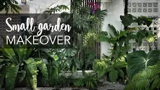 Small tropical garden (20sqft) makeover with 10 Pro Gardening Tips