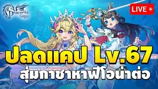 🔴 วันที่ 37 ปลดแคปเลเวล 67 กดกาชาหาฟีโอน่าต่อดีมั้ย? | Draconia Saga EP.37