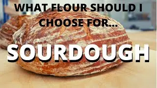 Sourdough Flour: What do I Choose? WW vs. '00' Flours