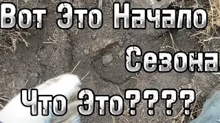 Здесь Металла Тонны! Что Не выезд то Бонус! Что будет Дольше? Коп 2024!