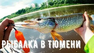 Рыбалка в Тюмени 2020. Джиг, река Тура, жара.