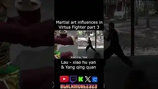 Martial Art influence in Virtua Fighter part 3  