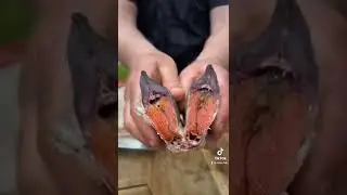 ОТБОРНАЯ ИКРЯНАЯ СОРОГА 