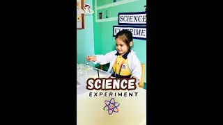 Science Experiment #peekaboo #peekaboopreschool #scienceexperiment