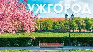 Прогулка по Ужгороду. Немного сакур 🌸