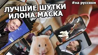 Лучшие ШУТКИ Илона Маска |2020|