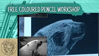 FREE COLOURED PENCIL WORKSHOP - POLAR BEAR