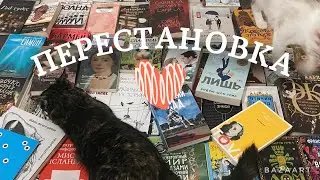 Внезапная перестановка на КНИЖНЫХ ПОЛКАХ 🫣+ много котиков 🐾