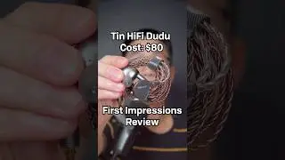 The best IEM name ever - Tin HiFi Dudu First Impression Review #inearmonitors #headphones