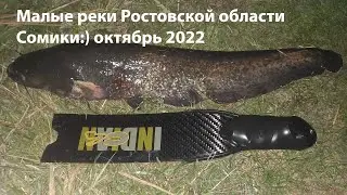 Малые реки ростовской области октябрь 2022 сомики:) подводная охота 2022 охота на сома 2022