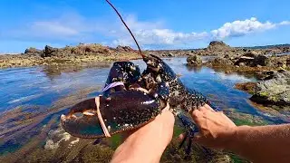 ONE TASTY CATCH AND COOK !! Massive Lobster Foraged on Huge Tides & Beautiful Day